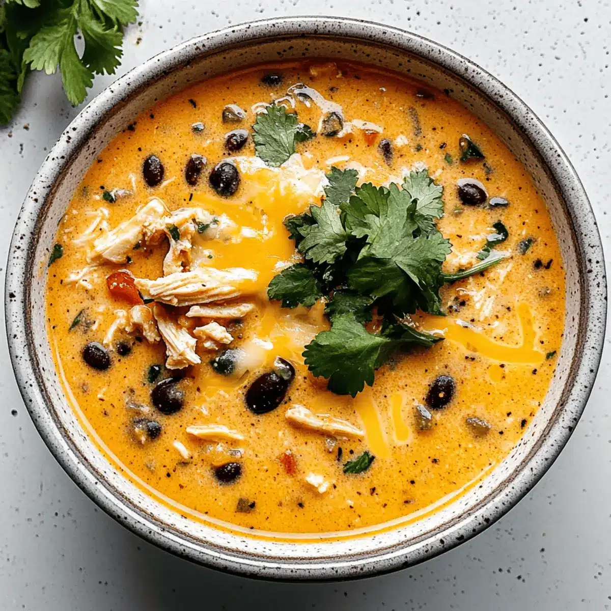 Chicken, Poblano, and Black Bean Soup
