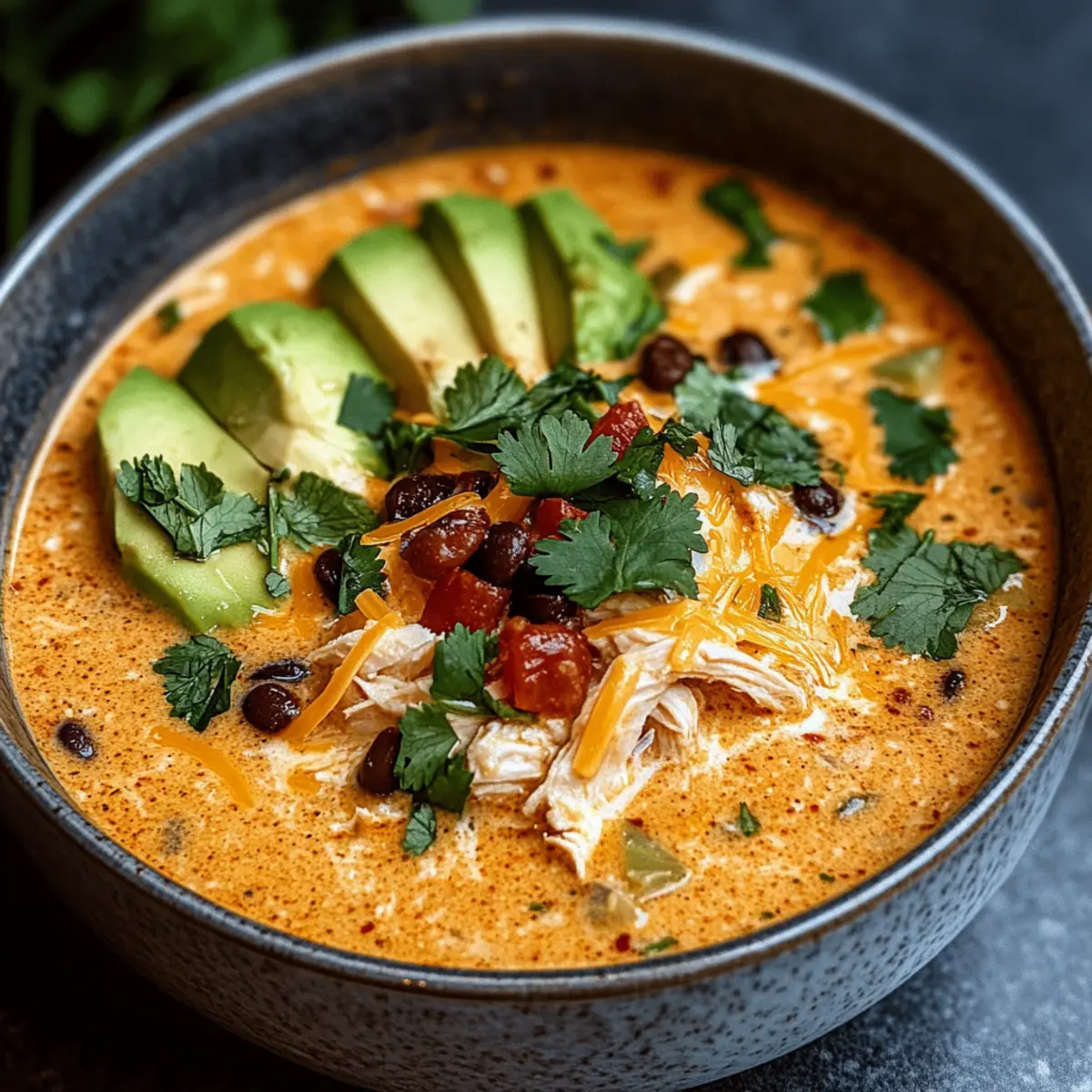 Creamy Chicken Enchilada Soup That's Comfort in a Bowl 1 9210e832 13c8 4fab ac52 37b8dcac8364tr ursmev
